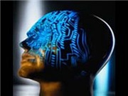 Bóng đá anh, ngoại hạng anh, lịch thi đấu euro 2012, IBM phát triển chip máy tính có tư duy như não bộ